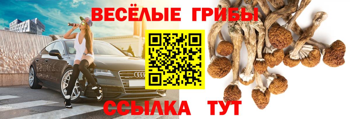 Псилоцибиновые грибы мухоморы  Вход с VPN  Чита 
