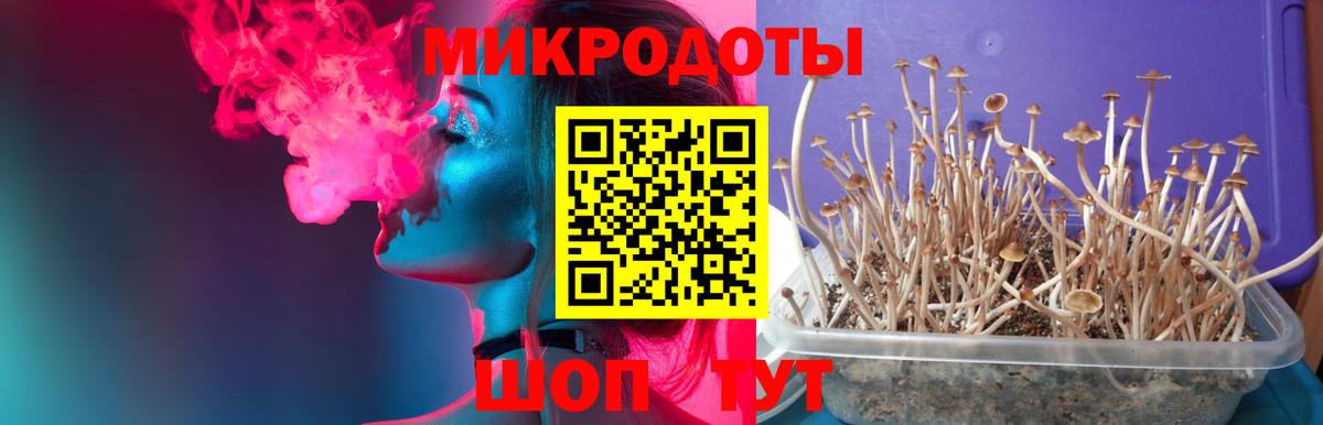 Галлюциногенные грибы прущие грибы Чита